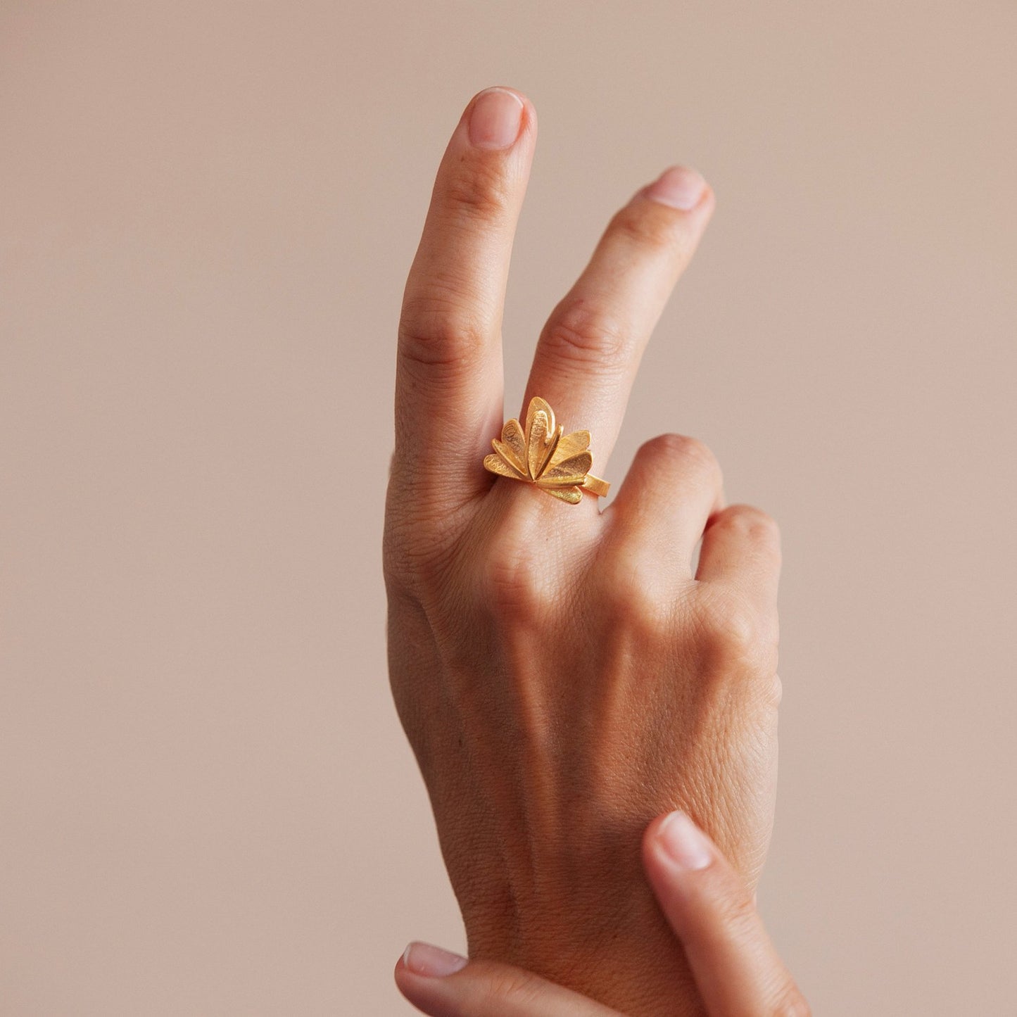 Anillo Dorado Vol