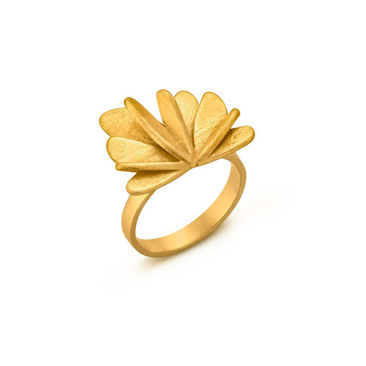 Anillo Dorado Vol